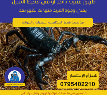 مكافحة العقارب