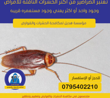 مكافحة الصراصير