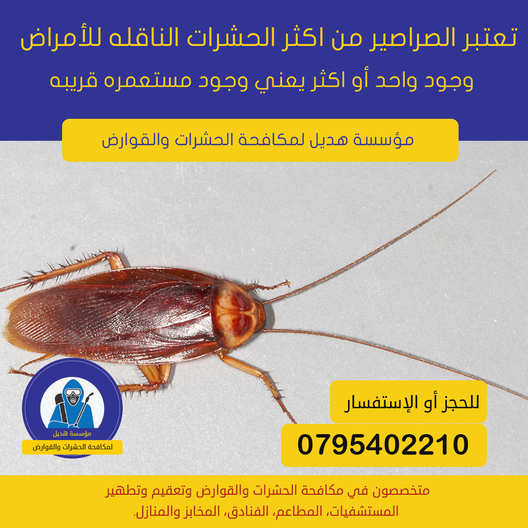 مكافحة الصراصير