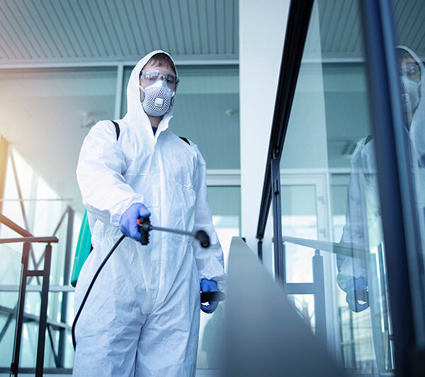 مؤسسة هديل لمكافحة الحشرات والقوارض عمان الاردن