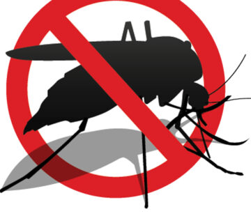 مكافحة الحشرات والقوارض عمان الاردن