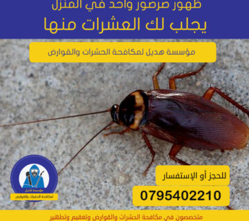 مكافحة الصراصير