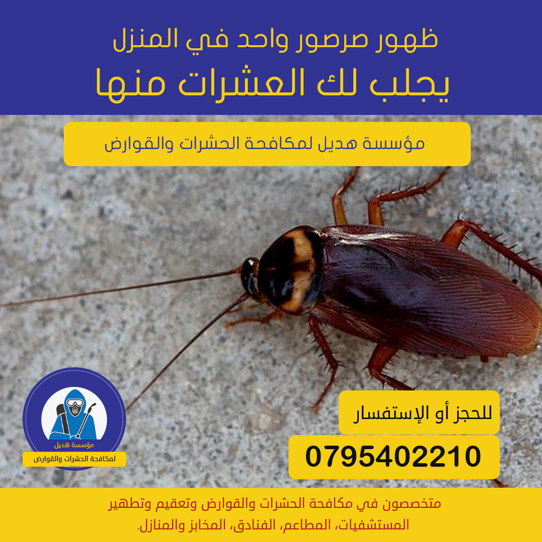 مكافحة الصراصير
