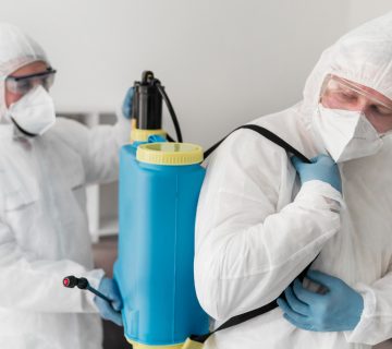 خدمات متكاملة من شركة مكافحة حشرات في عمان لجميع أنواع الآفات