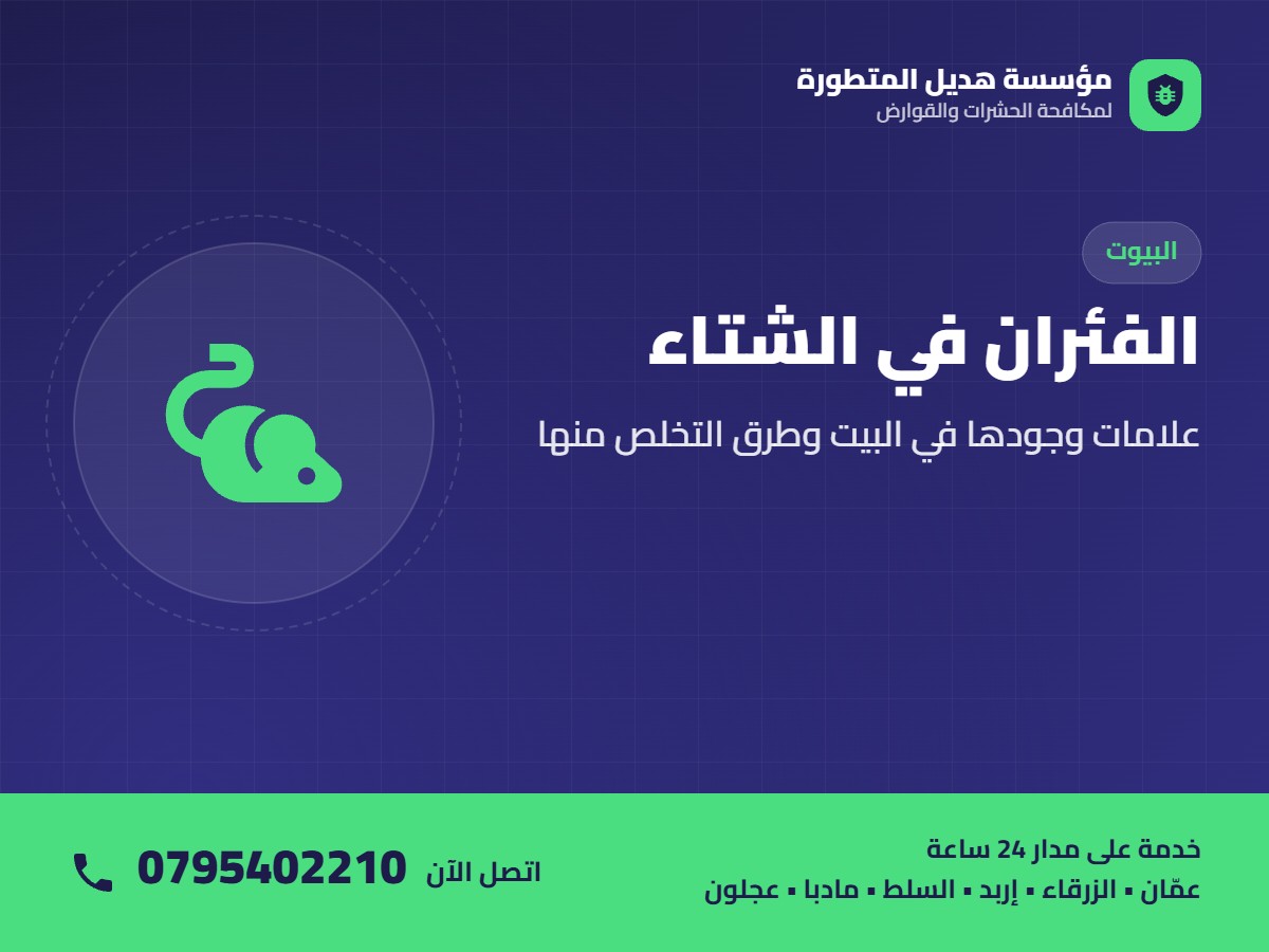الفئران في الشتاء: علامات وجودها في البيت وطرق التخلص منها – اتصل بمؤسسة هديل 0795402210