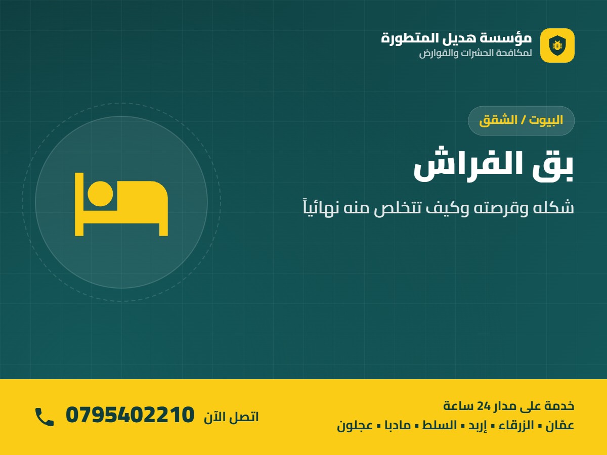 بق الفراش: شكله وقرصته وكيف تتخلص منه نهائياً – اتصل بمؤسسة هديل 0795402210